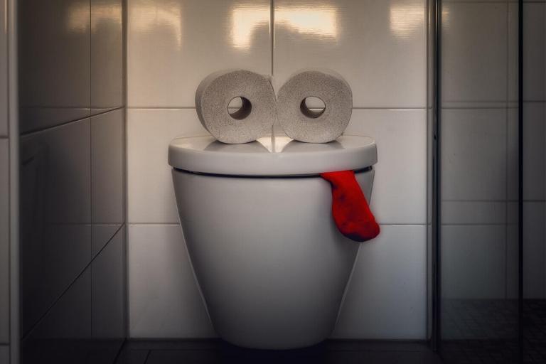 Image of a toilet made to to look like a face with toilet roll eyes and a sock for a tongue. 